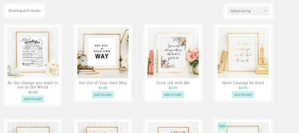 Ashlynn Shop Example