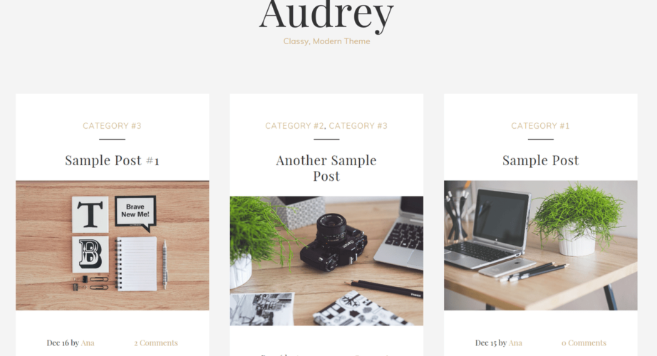 Audrey Blog Post Example