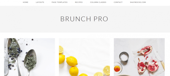Brunch Pro Theme
