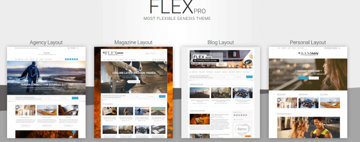 FlexPro Theme
