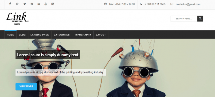 Link Business Theme