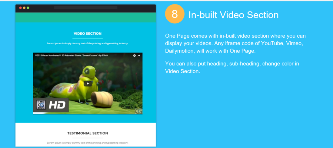 OnePage Video Section OnePage Video Section