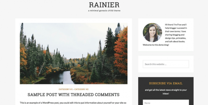 Raniner Theme