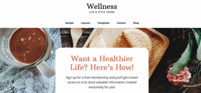 Wellness Pro Theme