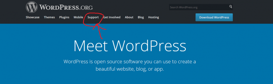 WordPress HomePage Support