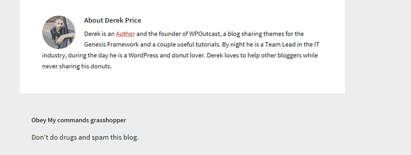 comment example comment example