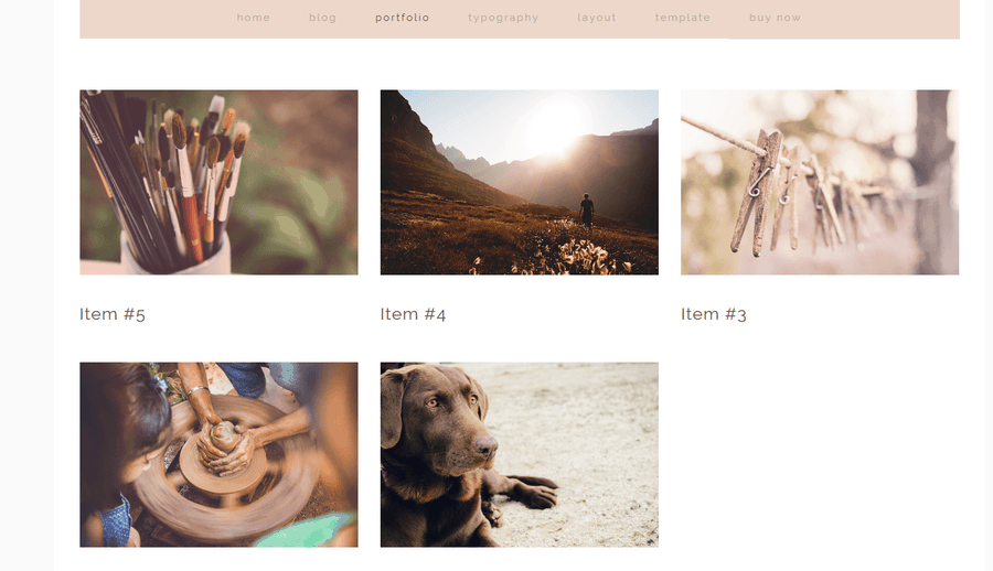 daisy portfolio page