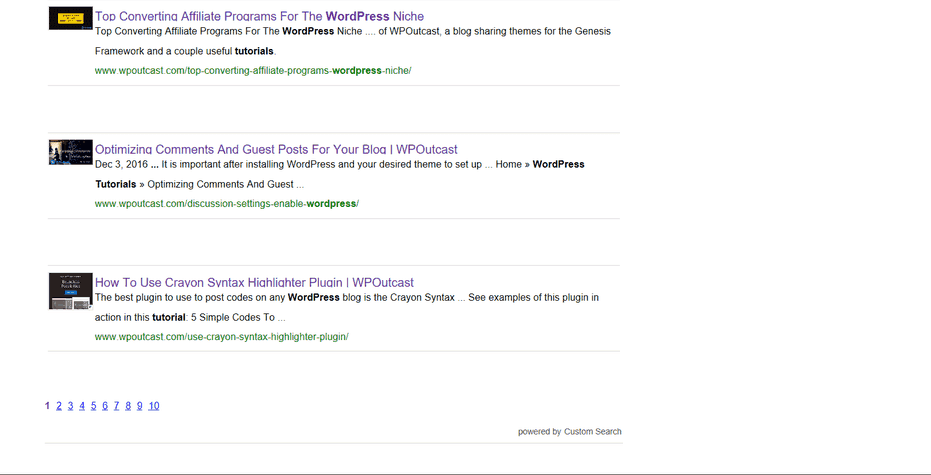 google custom search