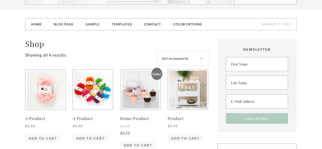 pretty chic shop