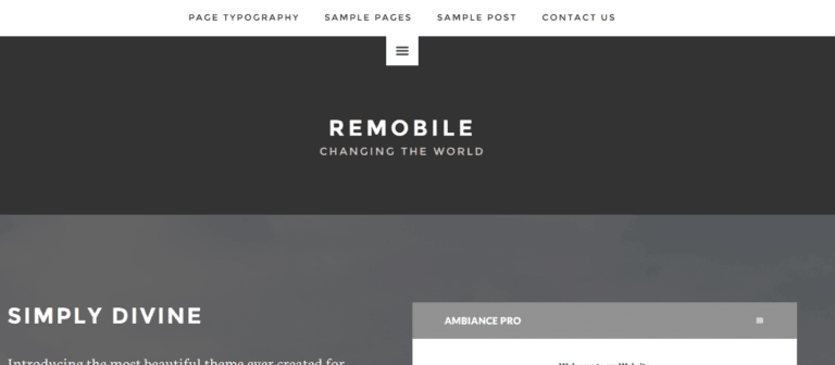 remobile pro theme example