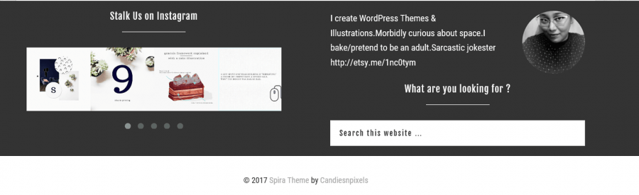 spira theme footer spira theme footer